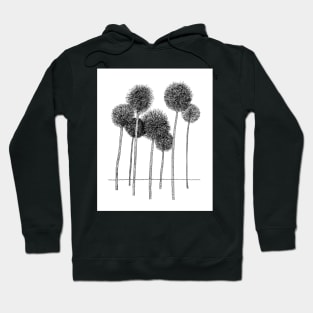 Dandelions Hoodie